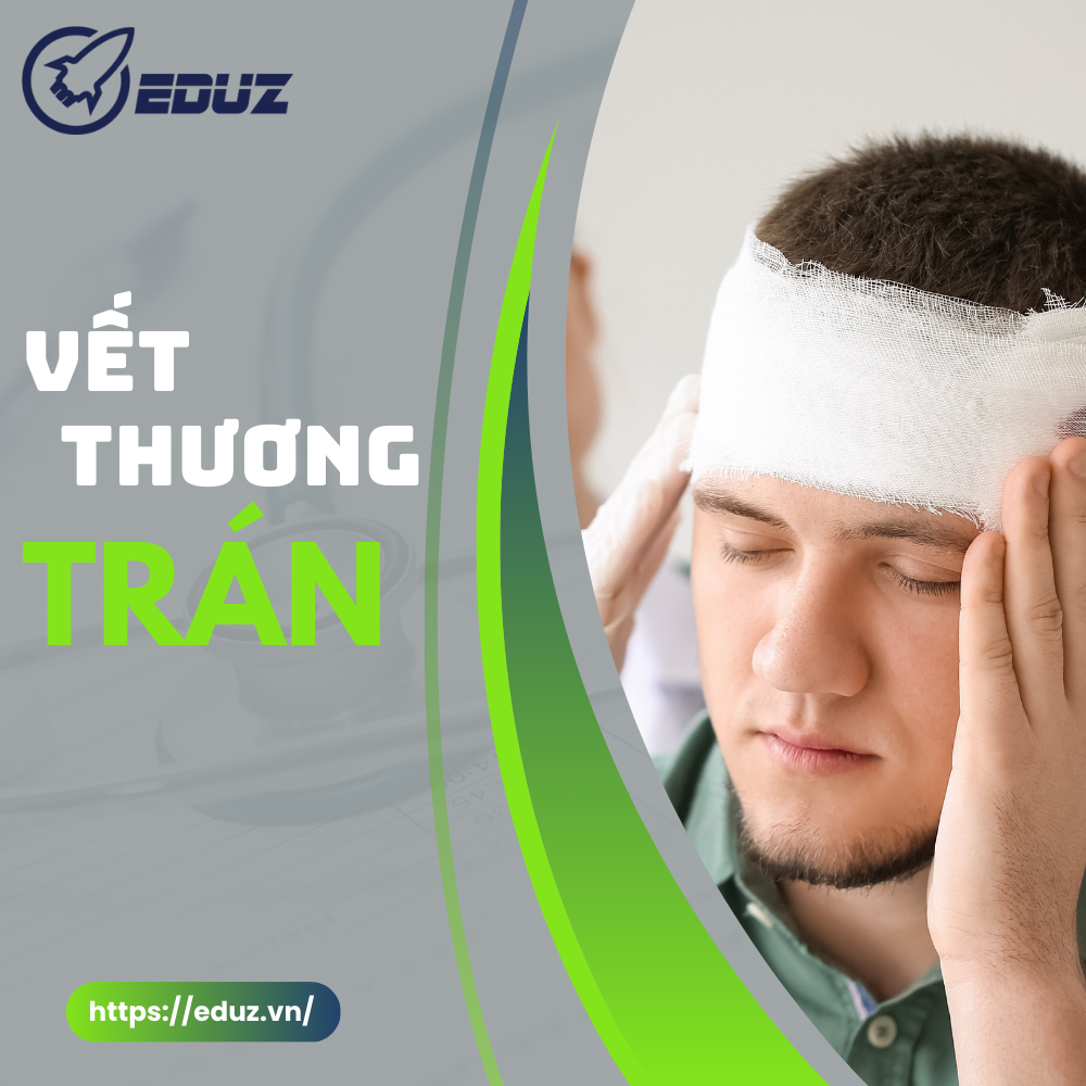 Sơ Cứu Ban Đầu Cho Trẻ Sơ Sinh Và Trẻ Em - Vết Thương Trán